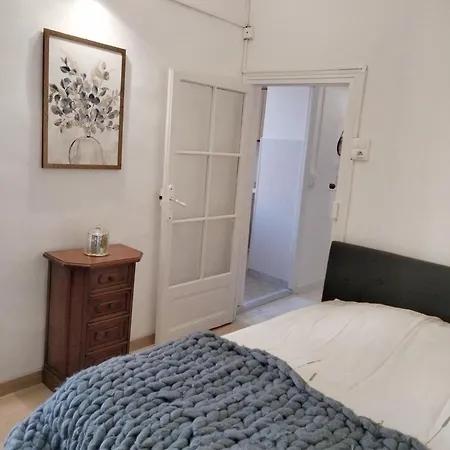Joli 2p Mentonasque Appartement